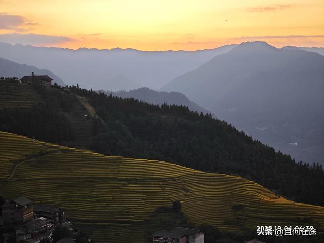 国庆期的龙脊梯田，即使是用老人机，也能拍出最动人的秋景与秋色
