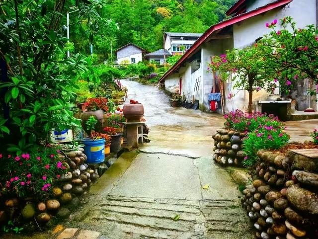 地名里的重庆 | 桥连渝黔，赶水萝卜甜透千年时光