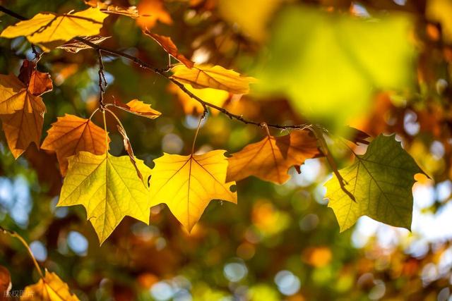 “百年难遇九月冬”，明日立冬，建议大家提前做好准备