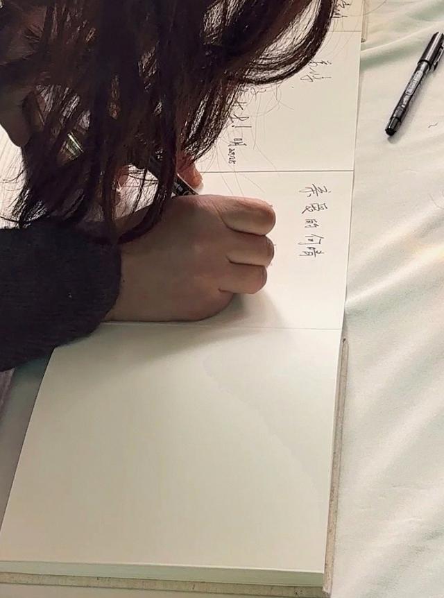 何晴告别典礼在京举行 儿子追忆：母亲喜爱雪，北京初雪是为她而下