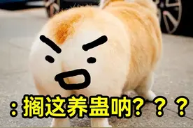 为求美臀打400支玻尿酸，感染后女子称：屁股里全是脓水图片