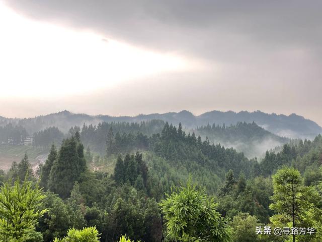 闲居南宝山，慢慢走，将时间浪费在山林之中