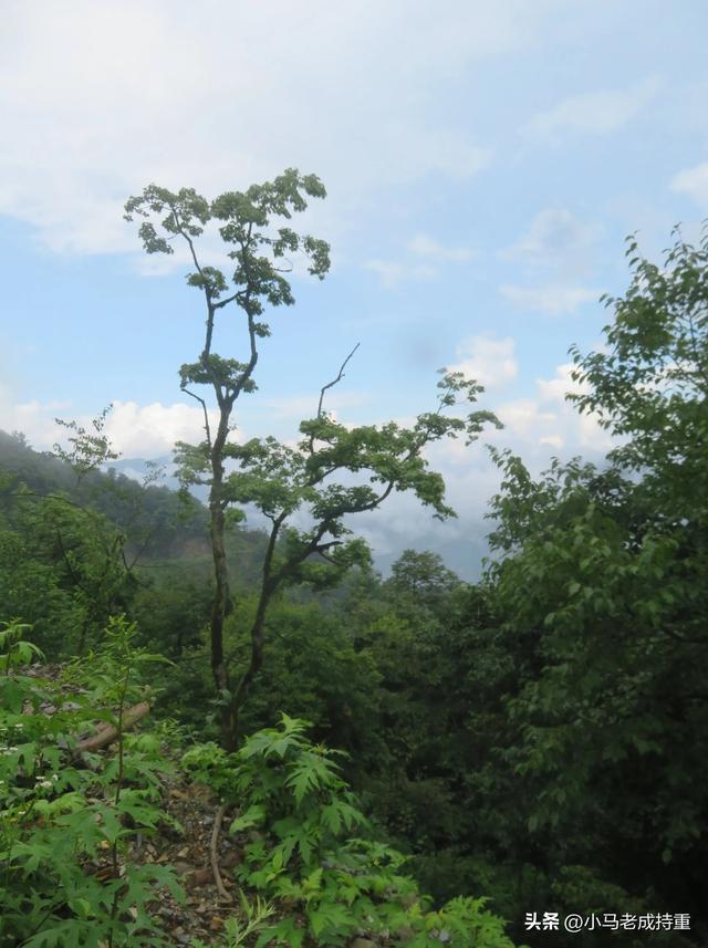 绵阳千佛山爬山笔记