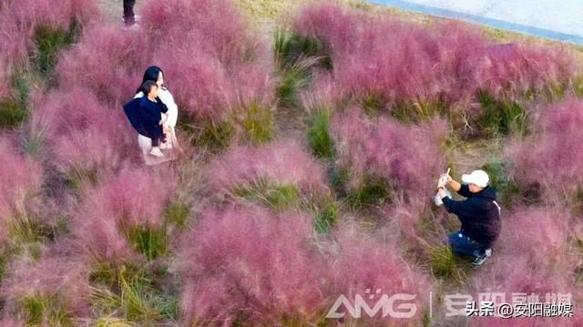 随手一拍都是大片!安阳深秋限定美景已上线→