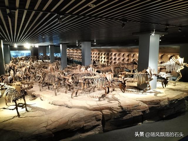 没想到大庆博物馆还有中国之最