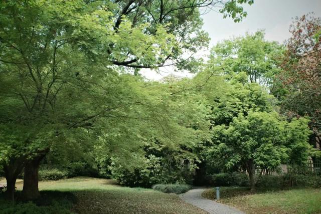 地理冷知识——良渚