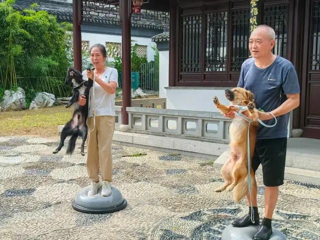 太仓长假隐藏玩法曝光！