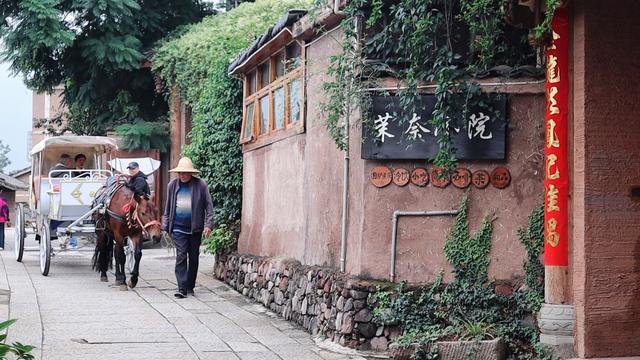 宝藏春城，冬季旅居圣地，物价低风景好，动车直达，比大理暖和