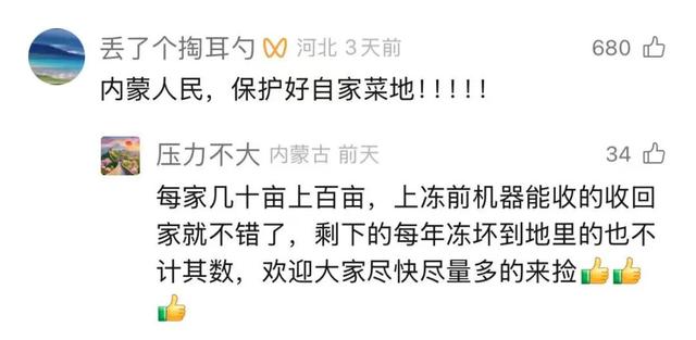 内蒙古“捡土豆”之后还有“隐藏款”？网友：明年组队去“进货”！