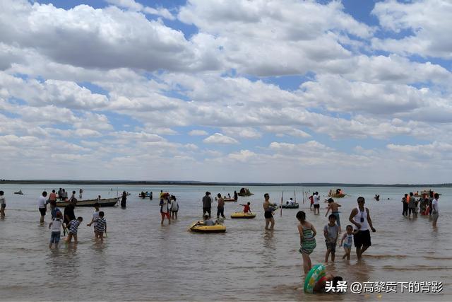 神木之旅：在沙漠中寻找生命的印记