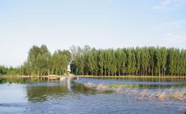 两性关系：男人过65岁，基本上都会有如下现状，具体表现是这样的