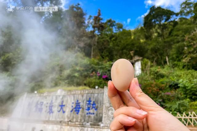 11月的云南腾冲,3000株银杏迎来黄金观赏期,美成人间仙境!