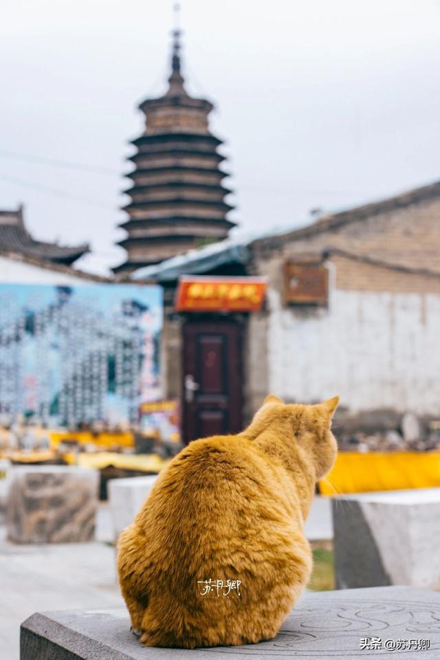 “国宝级”千年古城！山西浑源：一座来了就爱上的晋北小城