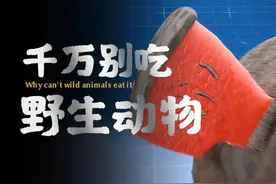 为什么野生动物的肉不能乱吃？图片