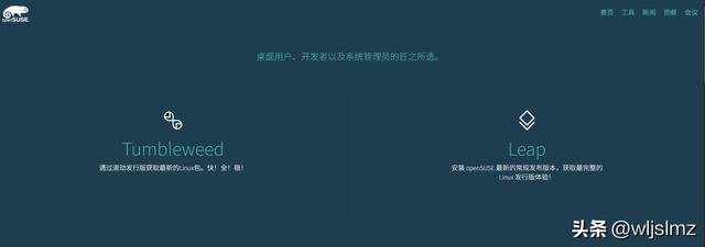 2025 年 10 个最佳 Linux 服务器发行版