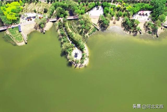解读一街一河五湖十六泉|第七站：邢泽湖