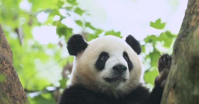 一路向北 畅享龙江山水清欢