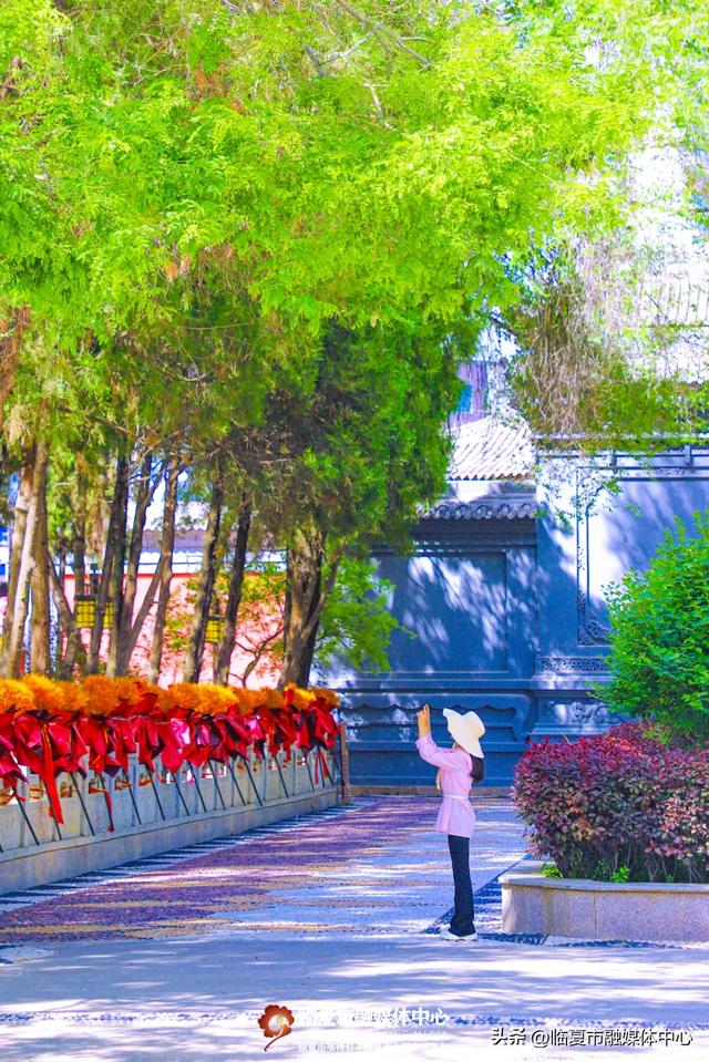 含氧量爆表!闯入花都临夏市的“绿野仙踪”,开启你的完美夏日~