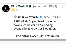 苹果不造车，大家松口气图片