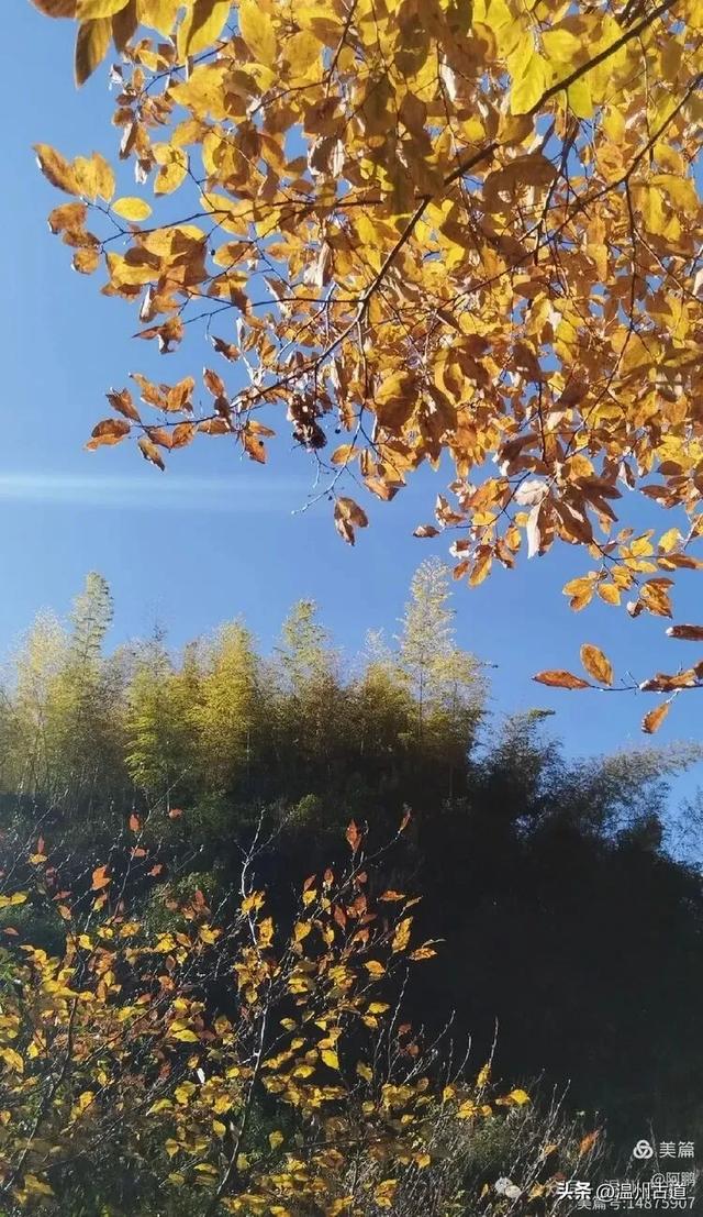 浙处丹霞地貌秋色斑斓超壮观，秋日必打卡之地！