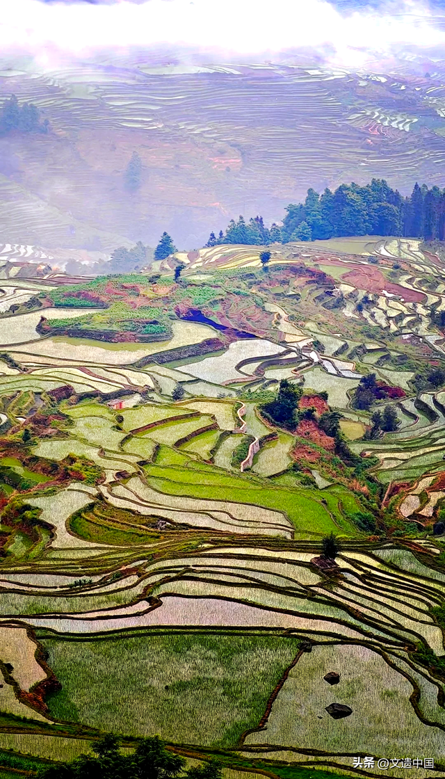 世界文化遗产里的大地艺术：全球三大绝美梯田，云山秘境桃花源