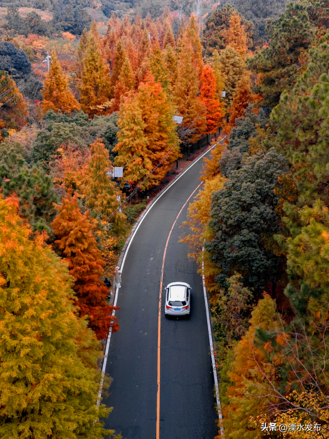国家级“天然氧吧”，马上冲！