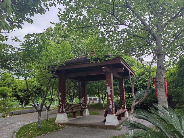 游宁波庄桥街道马径村