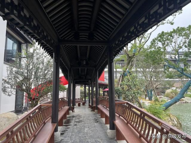 东坡又一个文旅新场景即将亮相→
