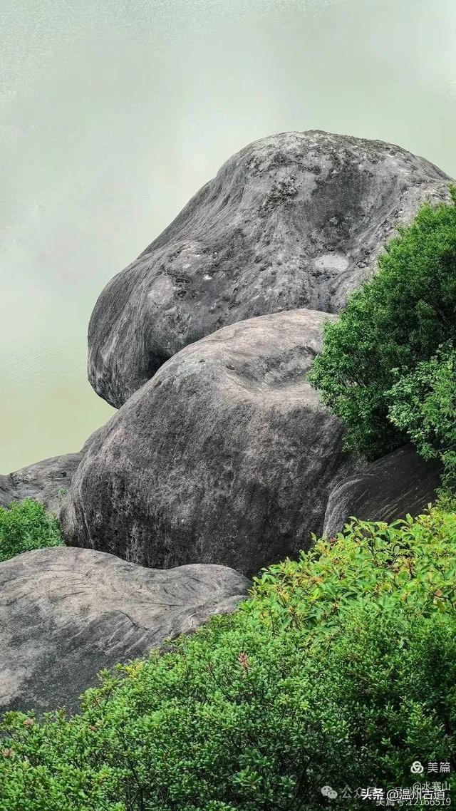 “浙南之巅”竟藏着以奇石景观著称的微缩版三清山,目前免费玩!