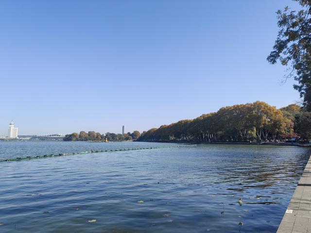 碧云天，黄叶地。秋色连波，波上寒烟翠一一玄武湖银杏迟