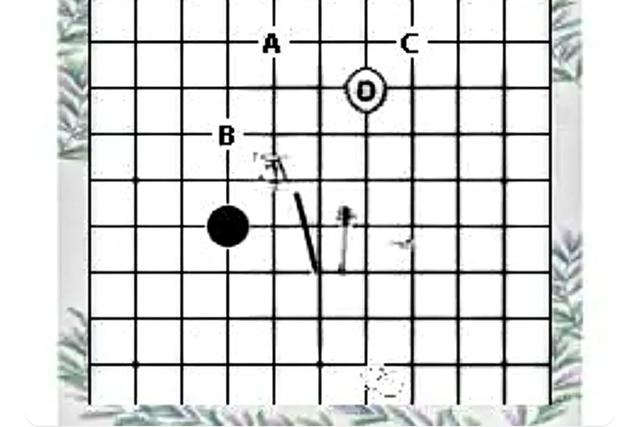 当五子棋遇上喜剧，《技能五子棋》凭什么让观众笑到拍桌？