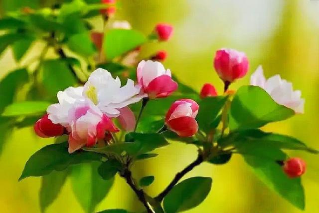 北京元大都城垣遗址公园 海棠花溪