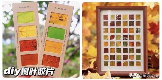 这场不等人的浪漫，有新玩法