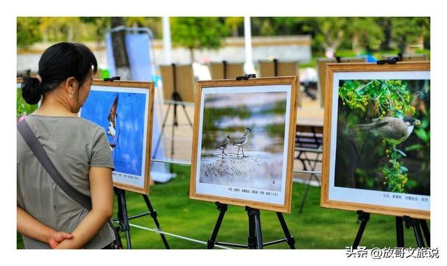 龙虎山对四省免票！江西文旅新年“放大招”，免费景区地图请收好