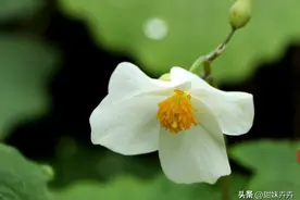 你迟早会明白，一个朋友都没有的时候，人生处于这3种状况图片