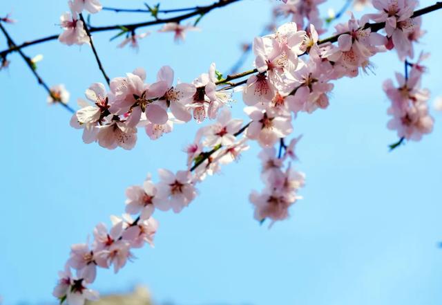 来体验，你没见过的小镇四季！