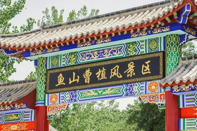 好客山东与驴的故事，从这座小城说起……