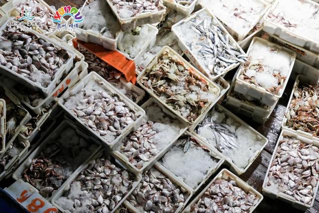 渔船归港迎海获，浓浓人间烟火气！一起相约蟳埔渔人码头……