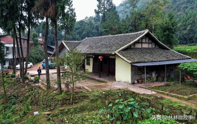 那年我下岗摆摊卖菜，遭女友嫌弃退婚，隔壁摊大娘把女儿介绍给我
