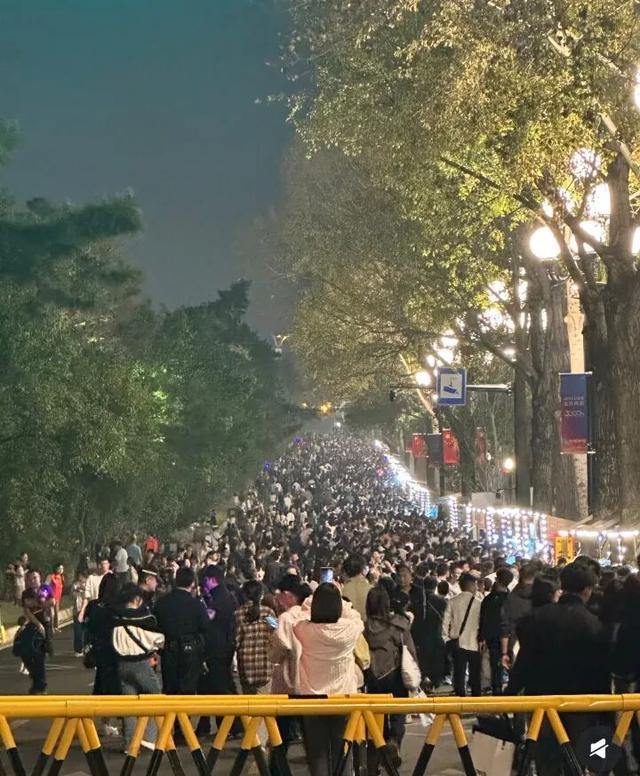 无人在意的黄金周角落，穷游网“诈尸”了