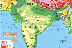 鸠占鹊巢，印度人为第一大族的国家这么多？图片