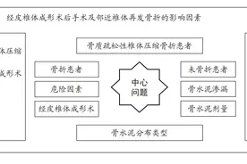 经皮椎体成形术中骨水泥分布对手术及邻近椎体再发骨折的影响图片