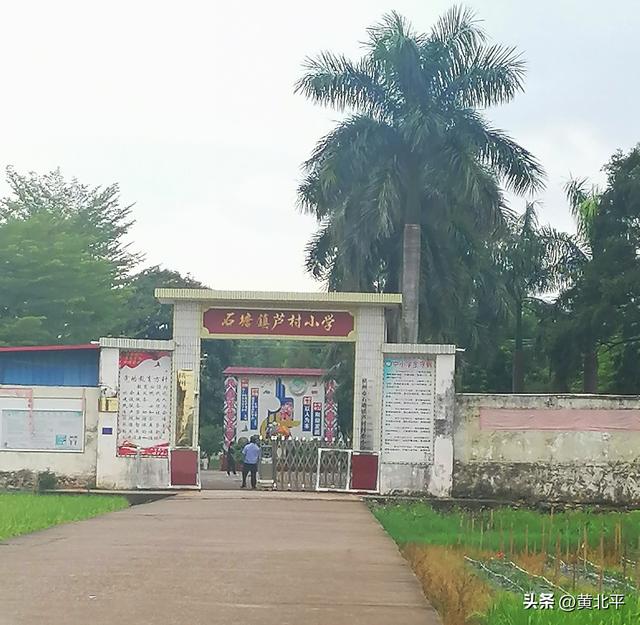广西南宁横州市芦村，原本是区副县级单位后来怎么就降为村了