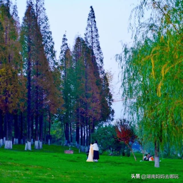 0.5H直达长株潭私藏“小白洋淀”，荻花摇曳处解锁老船厂遛娃秘境！