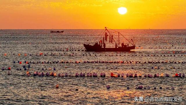 好！多！颜！色！啊！