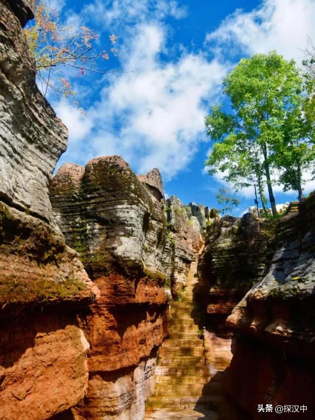 春有繁花夏有凉，秋染山林冬有霜 —— 草川子景区