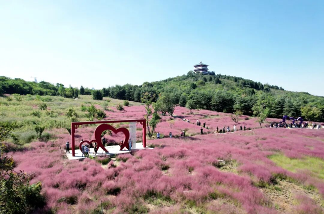 免费、优惠！“双节”假期游枣庄！这份攻略请查收→（滕州、薛城篇）