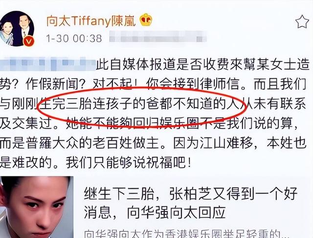 狐狸尾巴藏不住，撒谎成性、风流潇洒的张柏芝，被陈晓东撕下体面