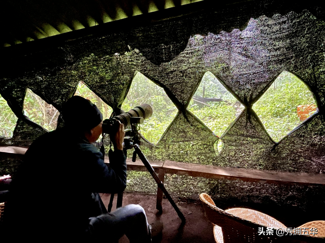 冬之云南 万羽衔霜｜新霞客·旅居记