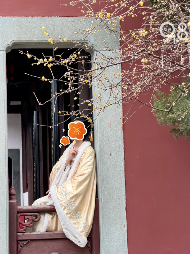 杭州冬日限定“顶流”蜡梅正盛！网友：香气隔着屏幕溢出来了